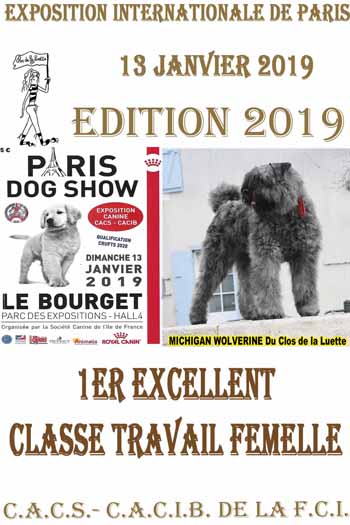 MICHIGAN PARIS DOG SHOW 2019